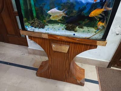 Fish & Fish Aquarium for Sale