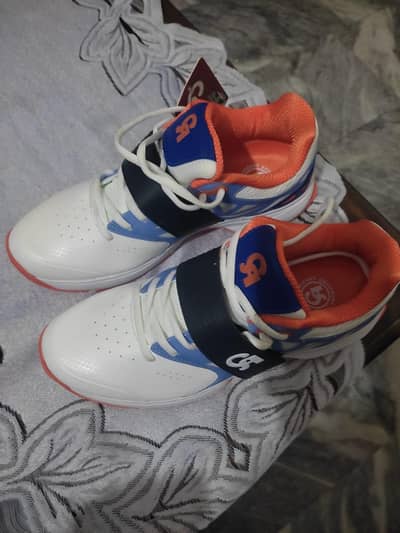 CA Cricket sports shoes
