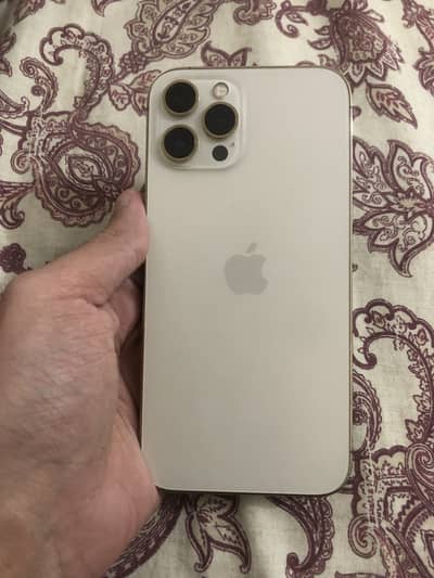 iPhone 12 Pro Max 256GB