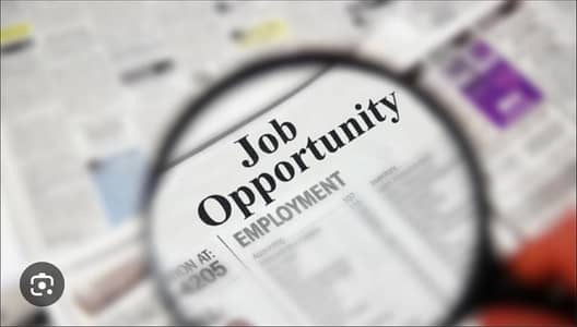 Office administrator - e-commerce - Excel - Multitasking Job in islam