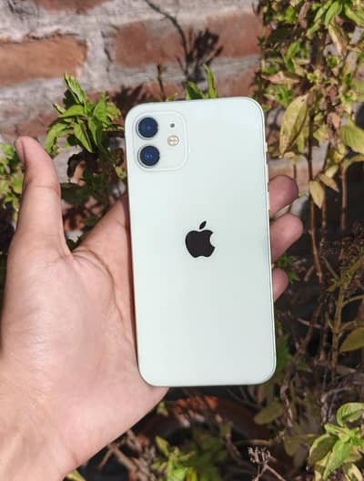 iPhone 12 PTA approved condition 10 by 10