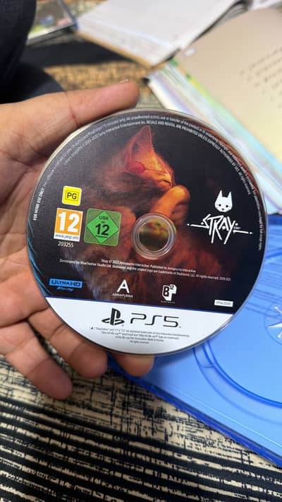 Stray playstation 5 CD