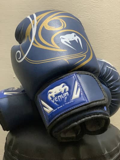Punching Bag and Boxing Glooves