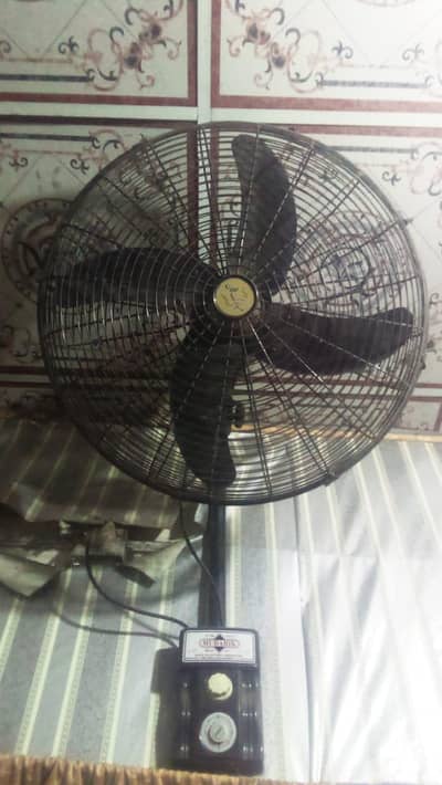 Wall Fan