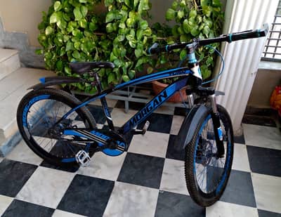 Morgan Mountain bike for Sale