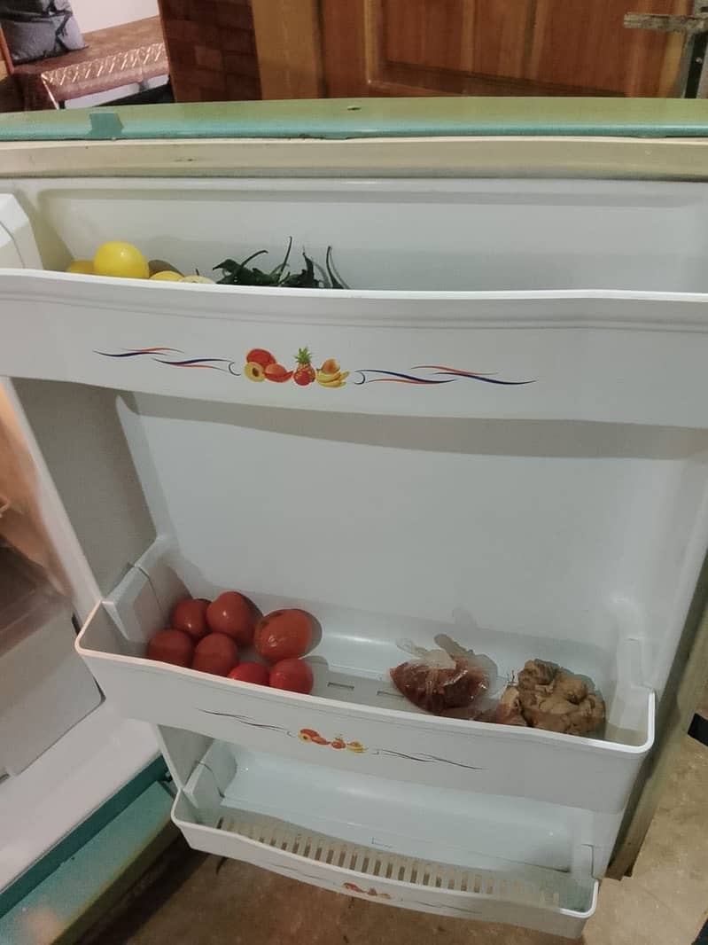 Waves Refrigerator 5