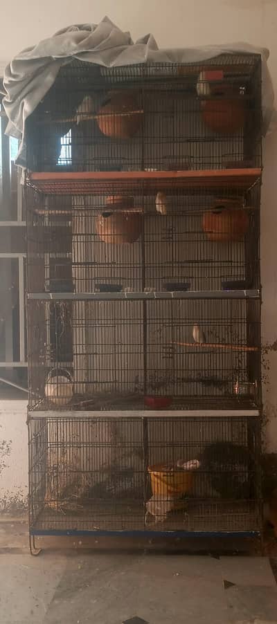 cage For Sale