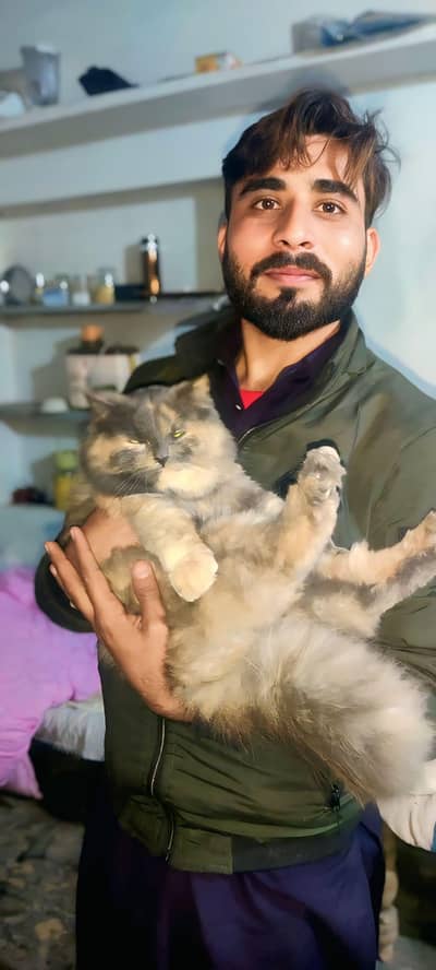 Bht he khobsort ghrelo cats