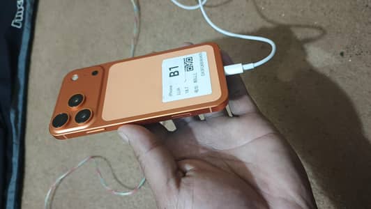 iphone XR converted into 17pro LL/A model