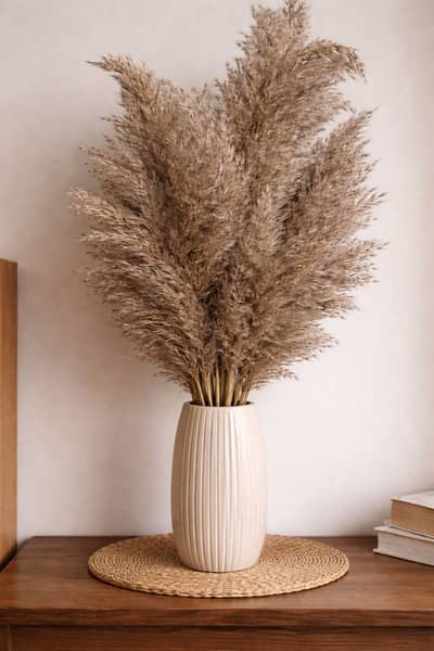 Home decor furry plants 