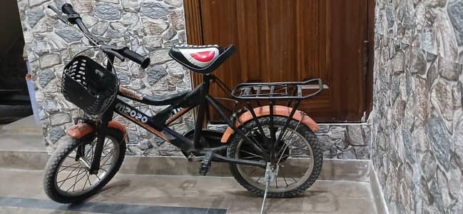 Beautiful Bicycle for Kids