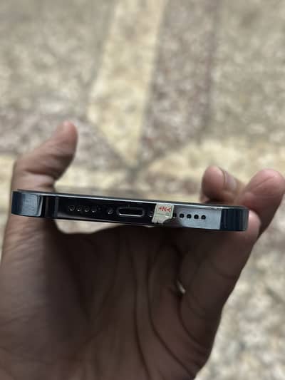 iPhone 13 Pro Max jv