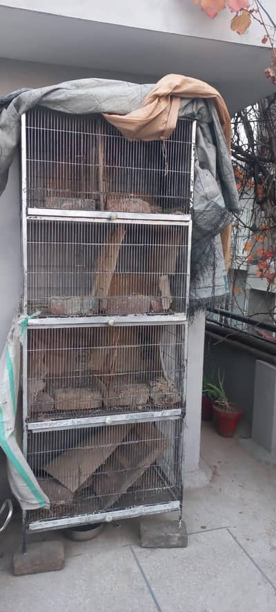 Steele Cage for Birds and hen