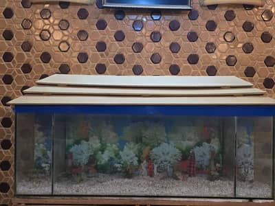 Aquarium For sale