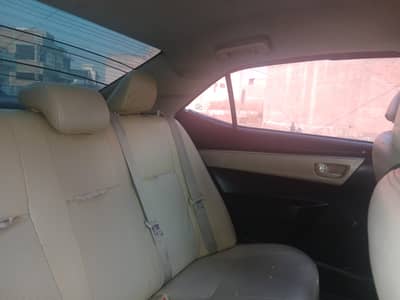 white color xli 15model