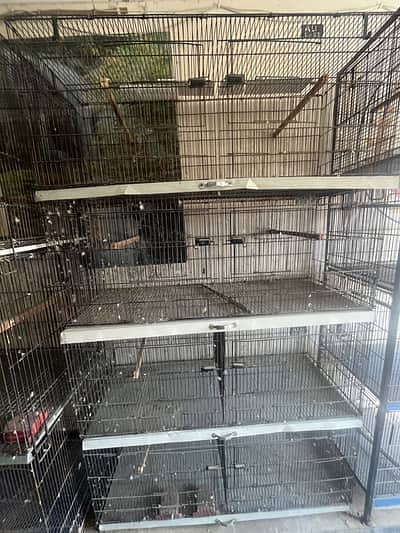 2 Love bird cages for sale in lahore badami bagh