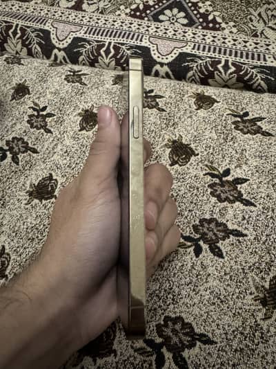 iPhone 12 pro pta approved