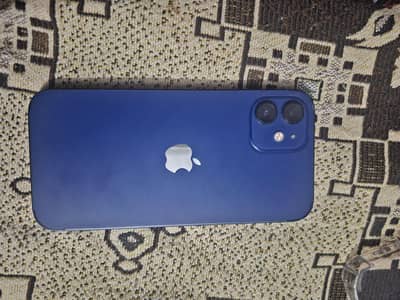 Iphone 12 10/10