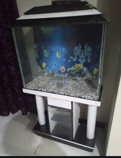 Used glass aquarium for sale.
