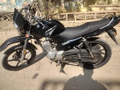 totally genuine 2019 model