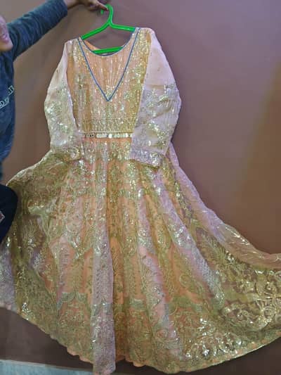 Elegant Party Wear Dress | Tissue Silk | One Time Used