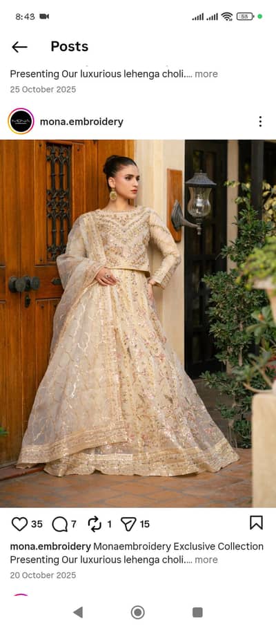 Famous,Trendy Party wear Lehanga Choli