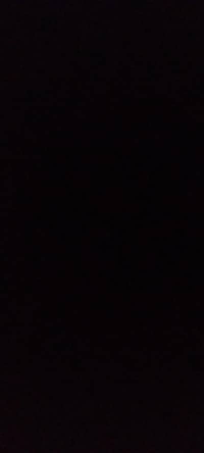 mujye ak female dog chye koye bhe ho mery pas male Labrador hai