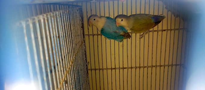 wo bhai rabta kar jaise Lena han time pas ni kary