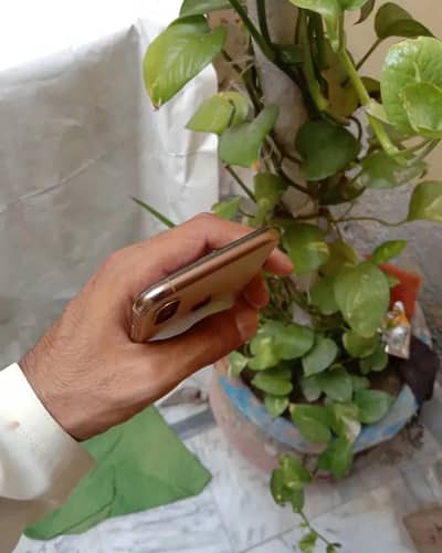 iPhone XS 256GB Gold -All Original  (e-SIM Time Available) 03137768392