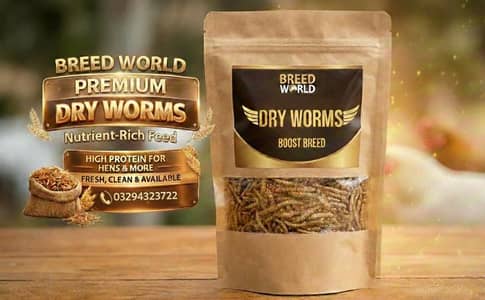 Breed World Dry Worms For Bird/Hens/ETC.