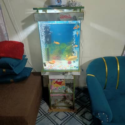 New Aquarium 2x1.5x1 feet without Fishes.