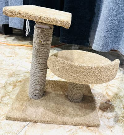 Cat Scratching Post