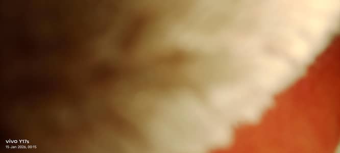 urgent sale plz serious buyer contact