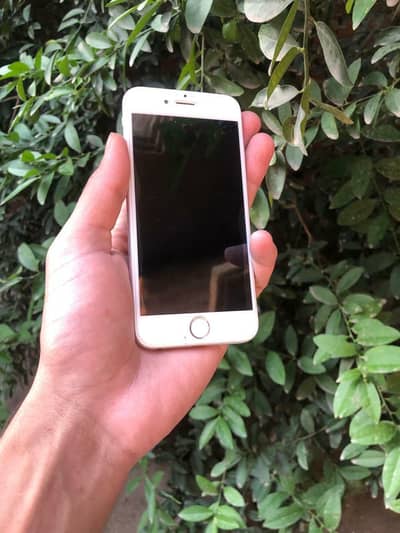 iPhone 6 pta approved 16 gb