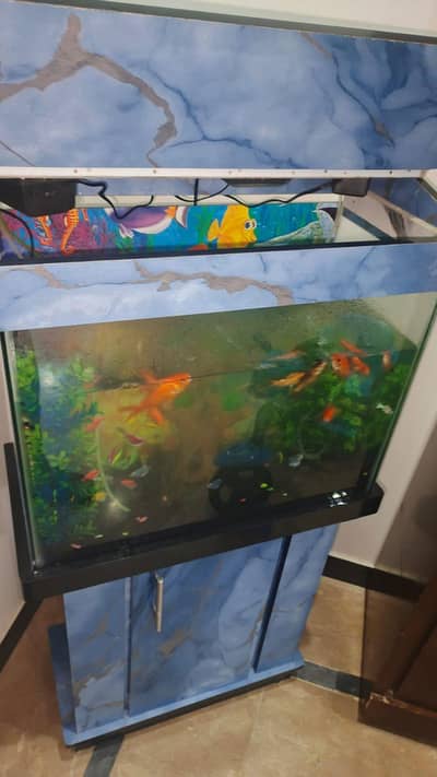 Aquarium For Sale