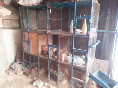 Cage For Birds and pigeon | cage for sale | 03265058898