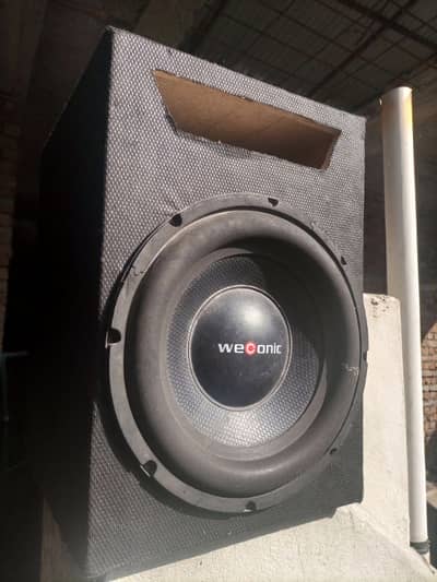 WeCoinc 12inch subwoofer