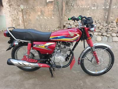 2019 model Punjab nmbr