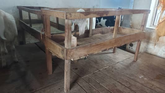 Wooden Pallets  For Goat Farming + Aseel 2 Murgiya 1 Murga For Sale