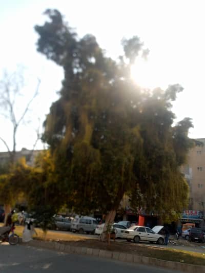 pik a call end talk to me end release ur frustration end many more .