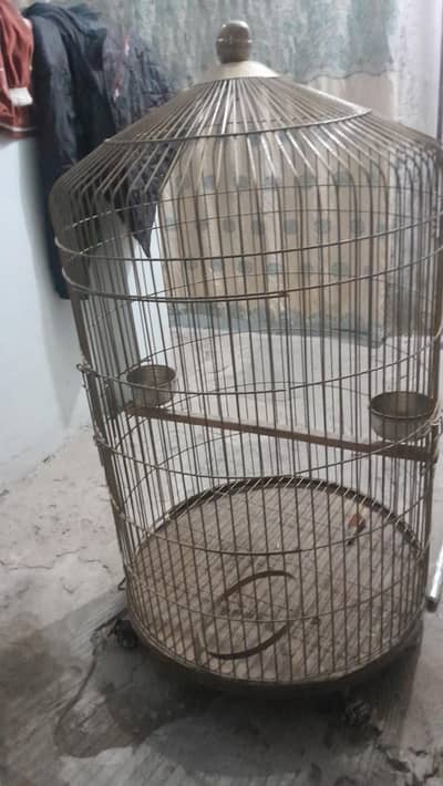 one month use hua ha