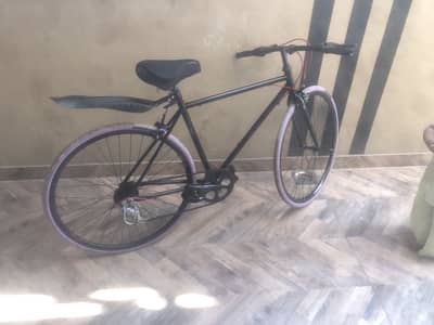 Sport cycle for adult