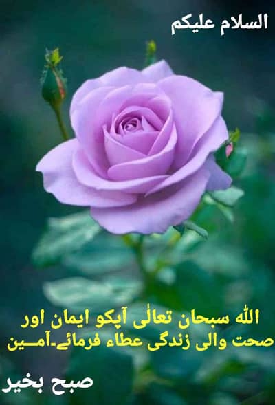 usman