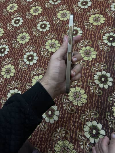 Ipone 12 pro max 128GB battery haealt 85%