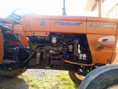 only cash waly Rabata kary