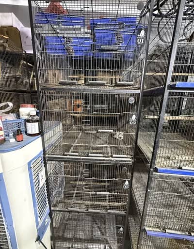 4 partitions birds cage urgent sale