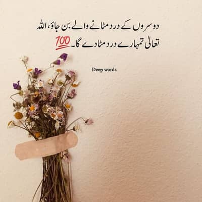 Iphone 16 pro max 256 gb batter halat 100