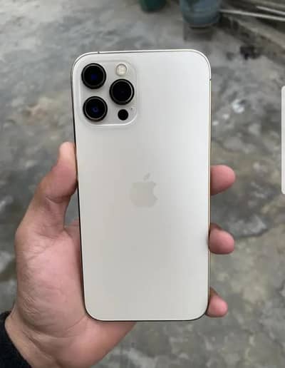 iPhone 12 Pro Max PTA Approved