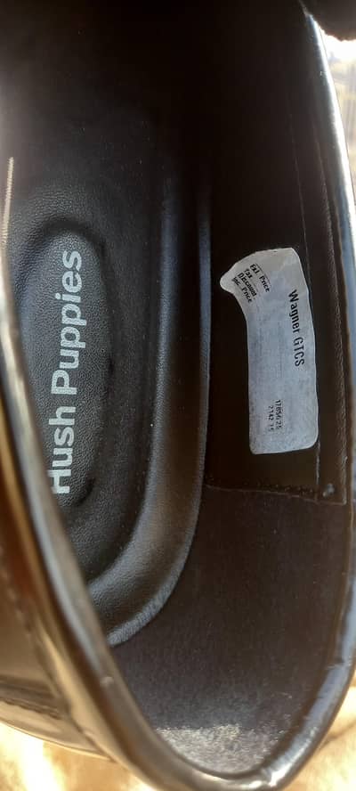 new shoes just one time use Hush puppies 18k price