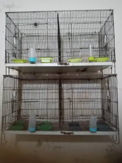 new cage h dbl  2  cage hn 03325308330